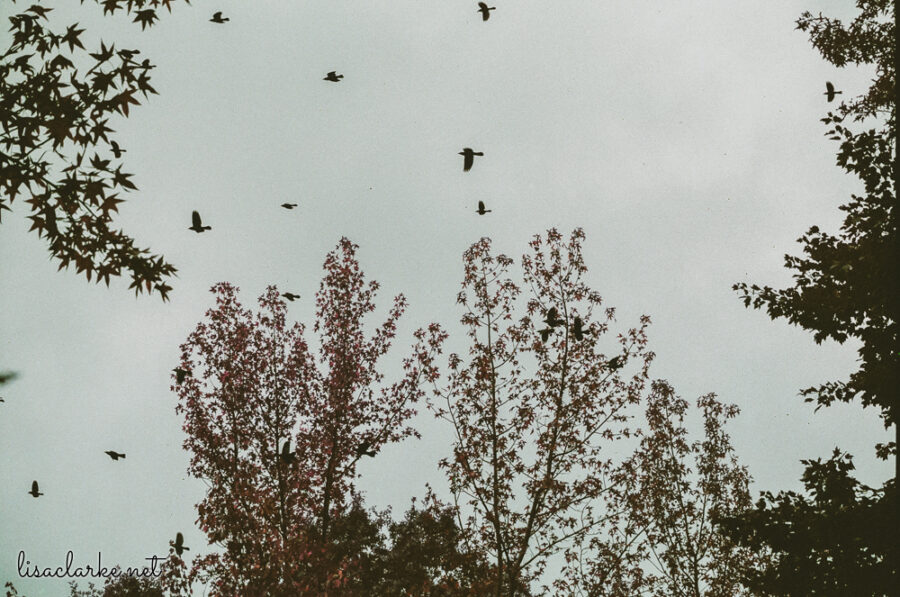 06_film231006-23_blog