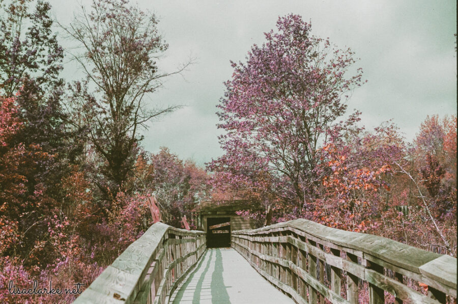 06_film231006-24_blog