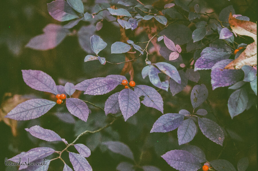 06_film231006-25_blog