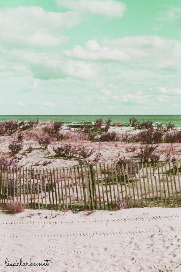 08_film231008-31_blog