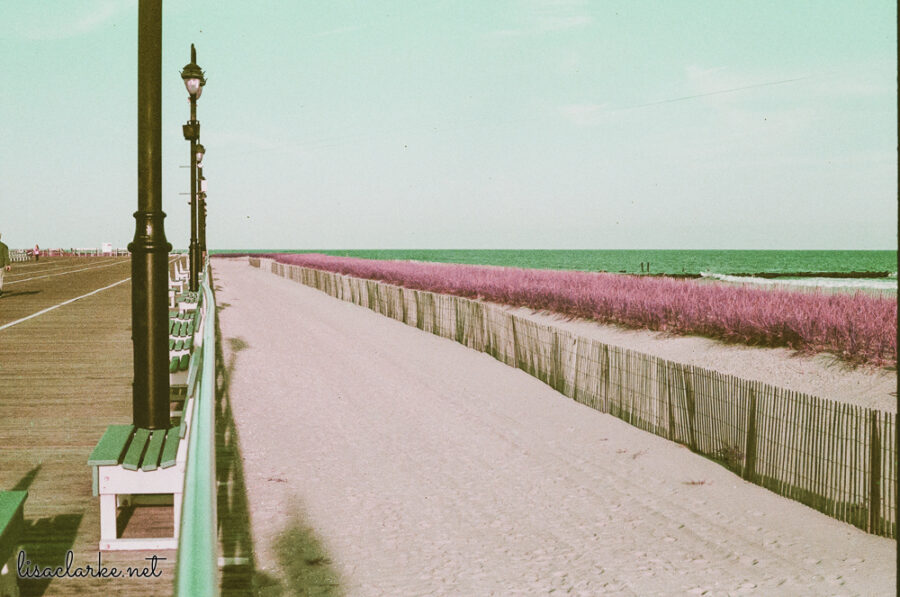 11_film231011-44_blog