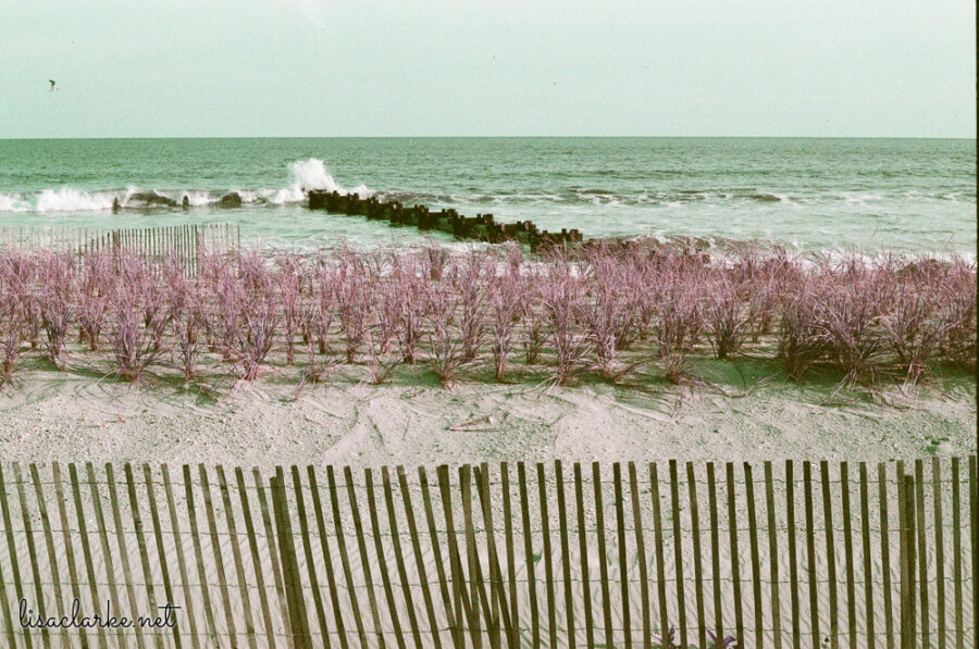 11_film231011-46_blog