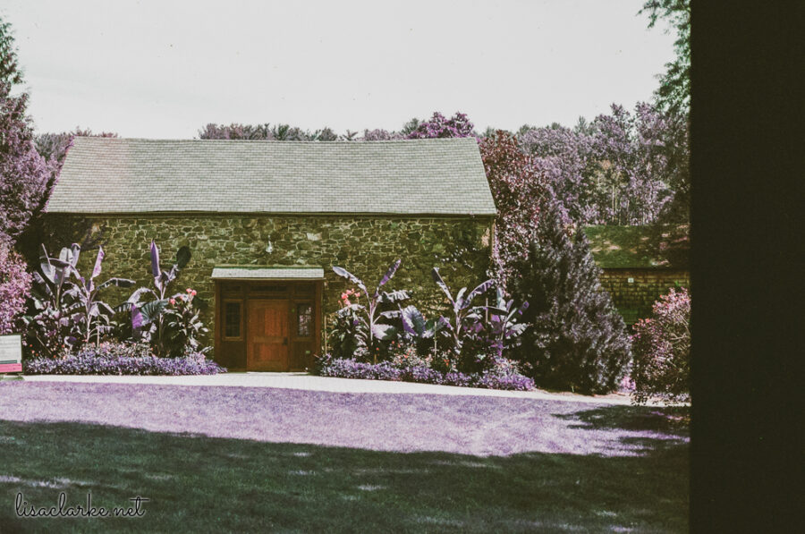 13_film230913-01_blog