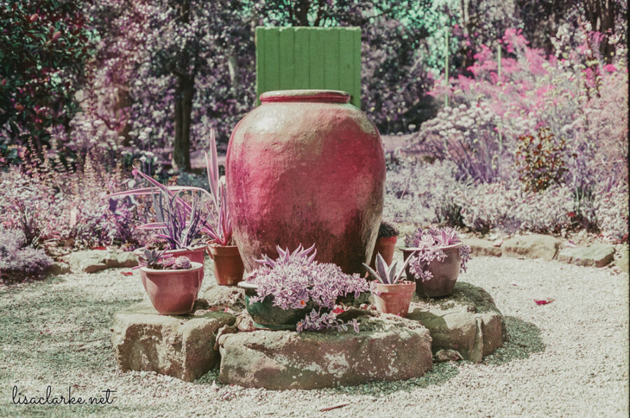 16_film230916-03_blog