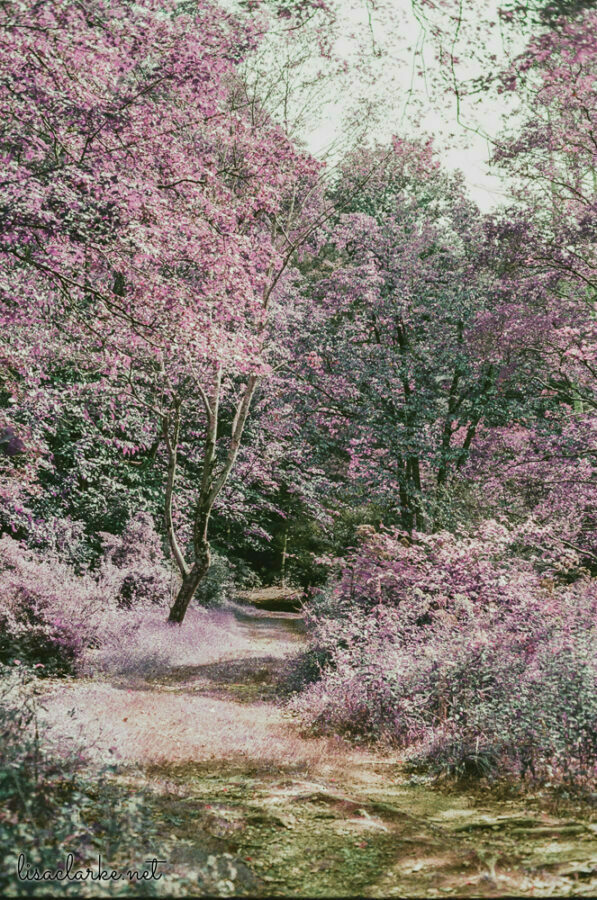 16_film230916-05_blog