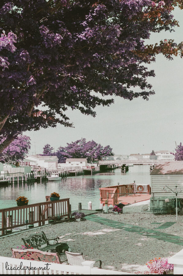 20_film230920-06_blog