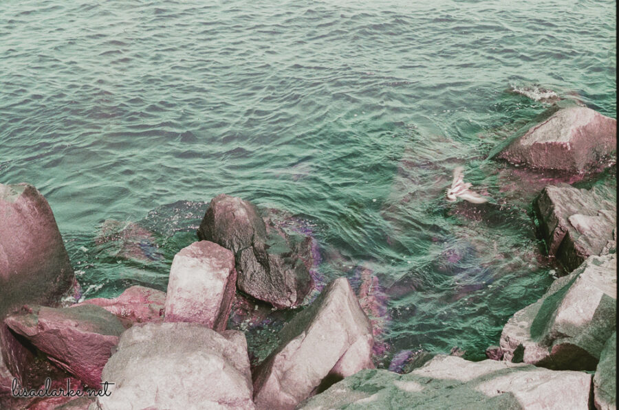 21_film230921-09_blog