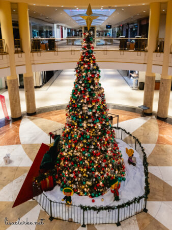 23_phone241223-03_blog