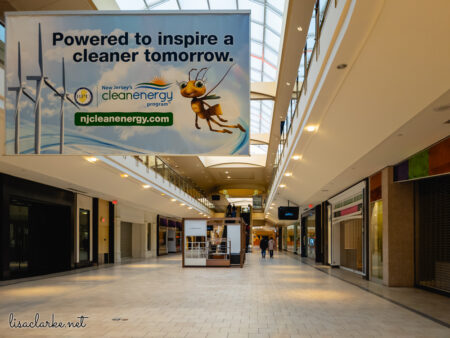 23_phone241223-10_blog