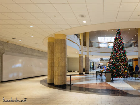 23_phone241223-11_blog